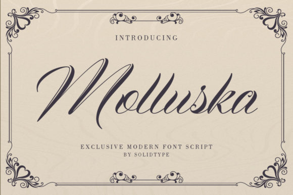 How Molluska Transformed My Campaign Visuals