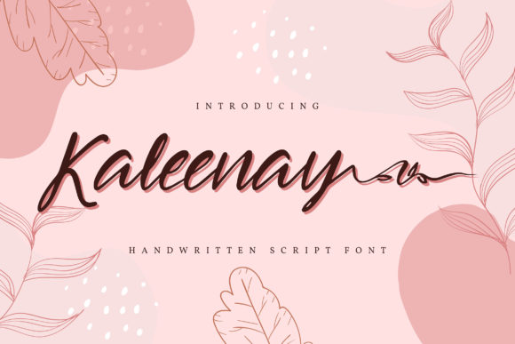 Kaleenay: A Graceful Script Font for Campaign Design