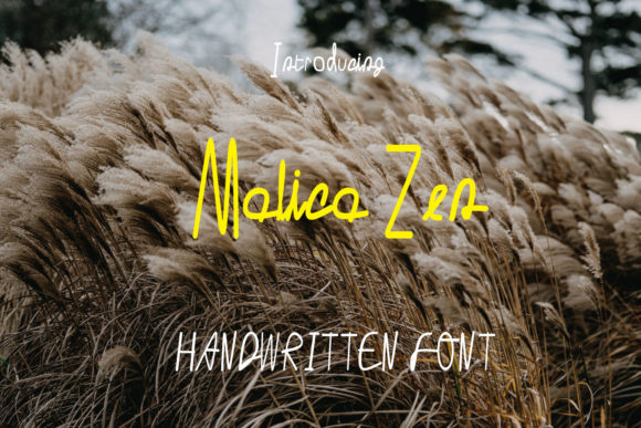 Malica Zen: A Handwritten Font for Thoughtful Editorial Design
