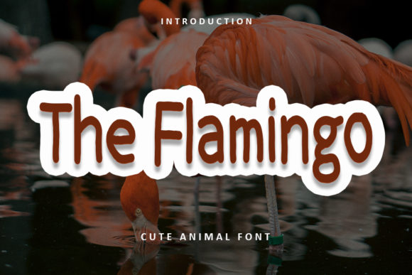 The Flamingo Font for Eye-Catching Digital Campaigns