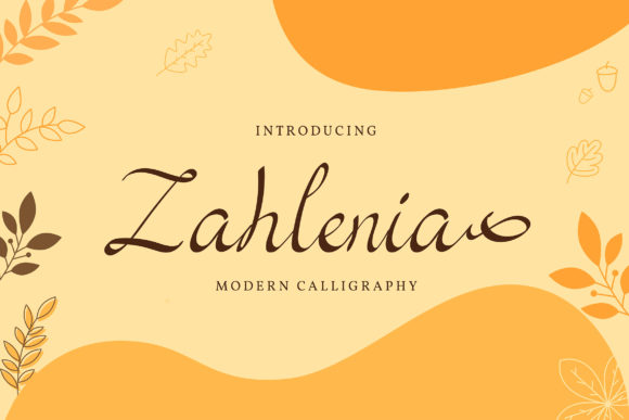 Zahlenia Script Font for Modern Web Design